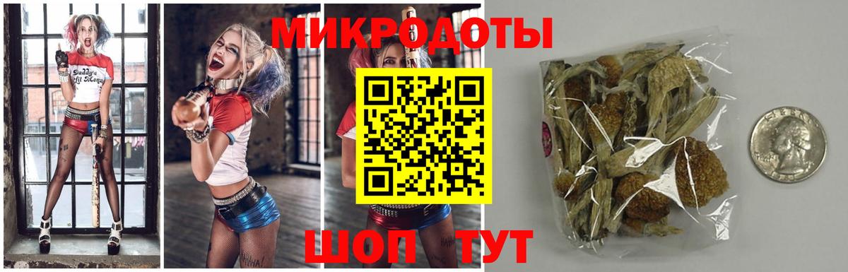 Псилоцибиновые грибы Psilocybe  Галлюциногенные грибы прущие грибы  Унеча  Вход с VPN 